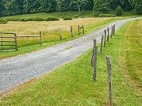 Country Road Photo III Fine Art Print