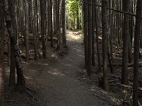 Country Road Photo VI Fine Art Print
