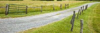 Country Road Panorama III Fine Art Print