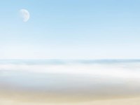 Beachscape Photo VI Fine Art Print