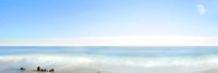 Beachscape Panorama IX Fine Art Print