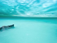 Lakescape VII Fine Art Print