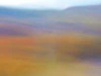 Soft Landscape II Fine Art Print