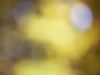 Soft Landscape IV Fine Art Print