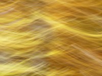 Soft Landscape VII Fine Art Print