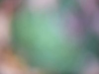 Soft Landscape IX Fine Art Print