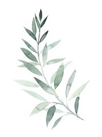 Sea Glass Sprig I Fine Art Print