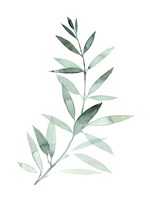 Sea Glass Sprig II Fine Art Print