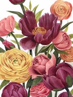 Balmy Blooms I Fine Art Print