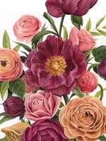 Balmy Blooms II Fine Art Print