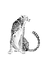 Chrome Cheetah I Framed Print