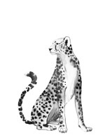 Chrome Cheetah II Fine Art Print