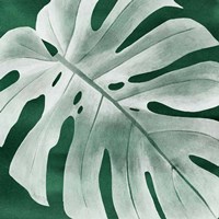 Velvet Palm IV Framed Print