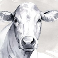 Sweet Face II Fine Art Print