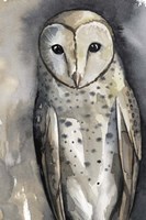 Moon Glider I Fine Art Print