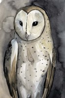 Moon Glider II Fine Art Print