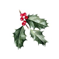 Christmas Holly I Fine Art Print