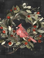 Christmas Cardinal I Fine Art Print