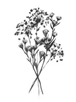 Wild Roadside Bouquet I Fine Art Print