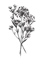 Wild Roadside Bouquet II Fine Art Print