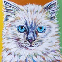Classy Cat II Fine Art Print