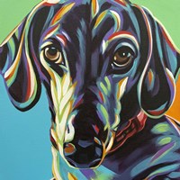 Painted Dachshund I Fine Art Print