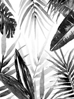 Jungle Walk I Fine Art Print