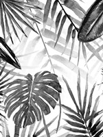 Jungle Walk II Fine Art Print