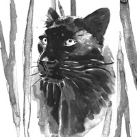 Still Cat I Fine Art Print