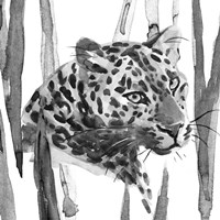 Still Cat II Fine Art Print