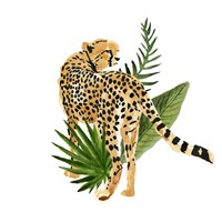 Cheetah Outlook III Fine Art Print