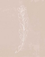 Blush Bloom II Fine Art Print