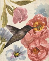 Nectar's Sip I Fine Art Print