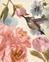 Nectar's Sip II Fine Art Print