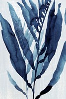 Blue Drift I Fine Art Print