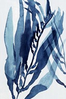 Blue Drift II Fine Art Print