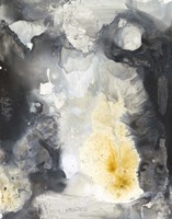 Iris Abstract I Fine Art Print