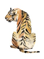 Sitting Tiger II Fine Art Print