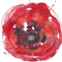 Kinetic Poppy II Fine Art Print