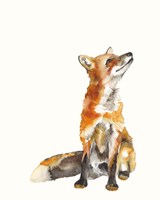 Sly Fox I Fine Art Print