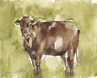 Cow in the Field II Fine Art Print
