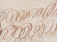 Squiggles I Fine Art Print