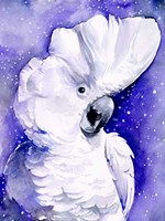 Celestial Cockatoos I Fine Art Print