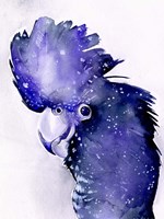 Celestial Cockatoos II Fine Art Print