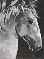 Tribeca Horse I Fine Art Print