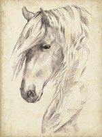 Horse Portrait Sketch II Fine Art Print