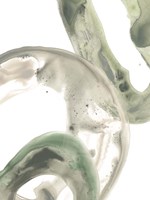 Concentric Lichen I Fine Art Print