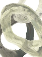 Concentric Lichen II Fine Art Print