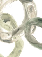 Concentric Lichen III Fine Art Print