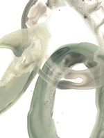 Concentric Lichen V Fine Art Print